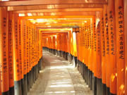 京都伏見稻荷神社
