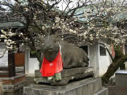 日本_京都_北野天滿宮牛雕像