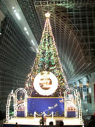 京都車站、京都塔聖誕節時的聖誕樹
