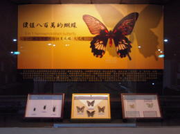 木生昆蟲博物館