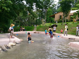 克林姆莊園兒童戲水池_彰化縣觀光旅遊景點